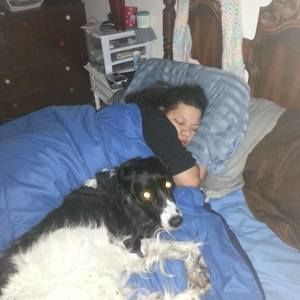 Meet your Posher, Thomas